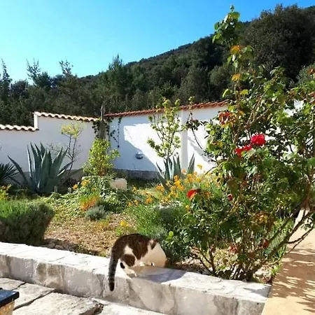 Kristal House Villa